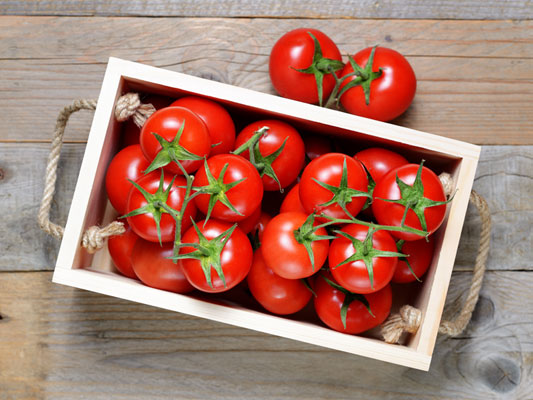  Tomates (Pots 2 gallons) 