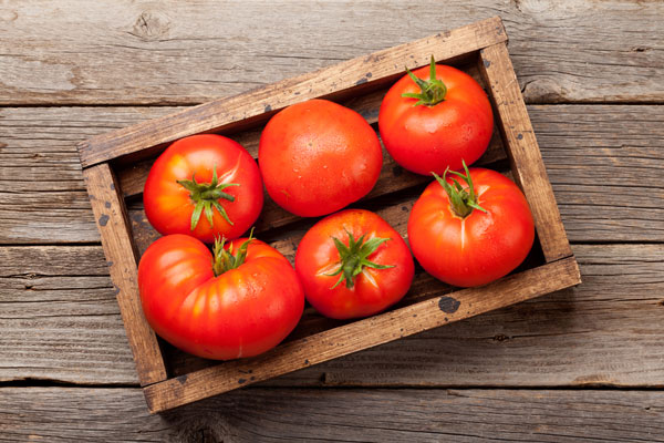  Tomates (caissettes) 