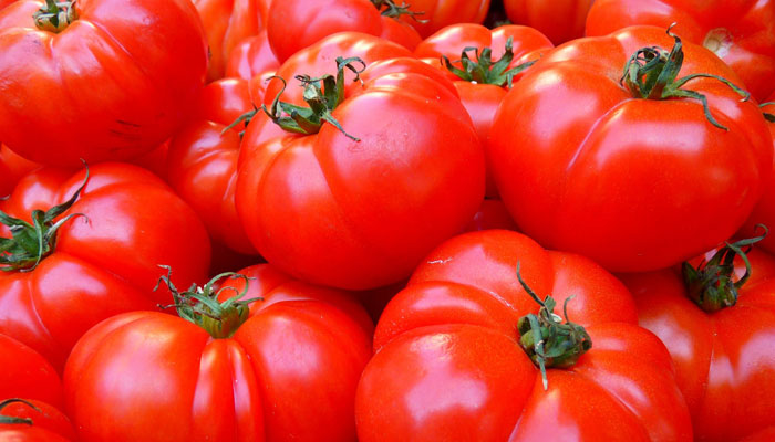  Tomates (pot-tuteur) 